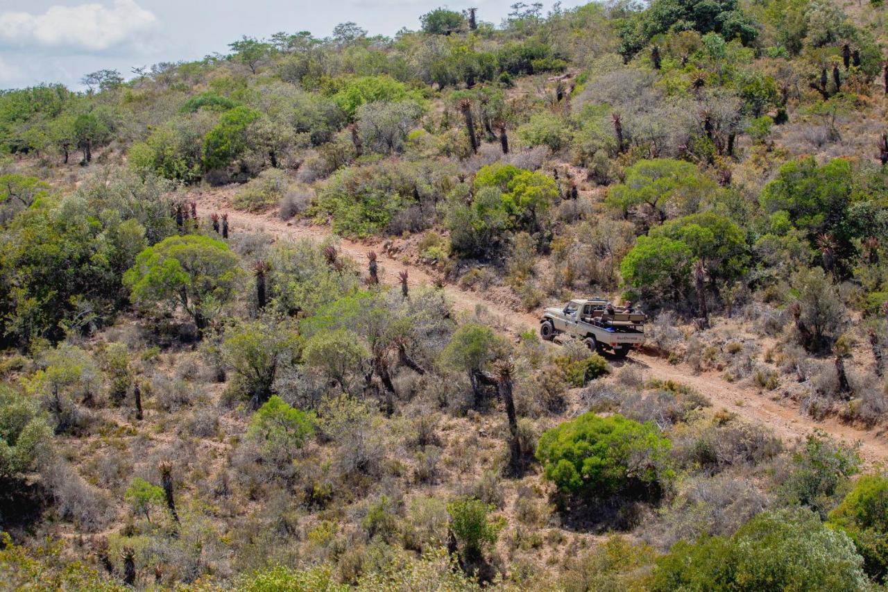 African Safari Lodge Grahamstown